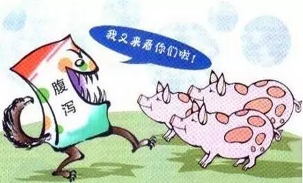 猪猪腹泻