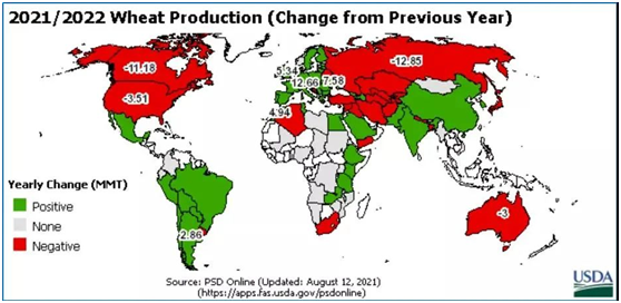 2021/22全球小麦产量