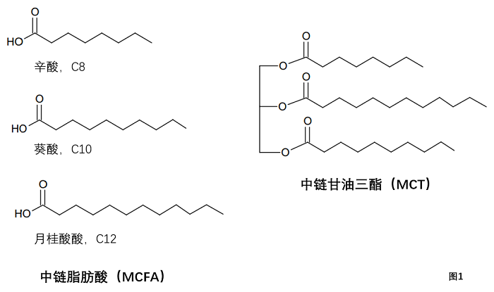 中链脂肪酸